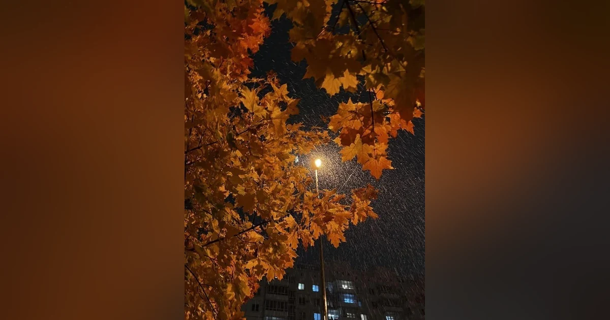 3 Horas de Sonidos de Lluvia y Truenos: para Dormir, Relajarse, Estudiar