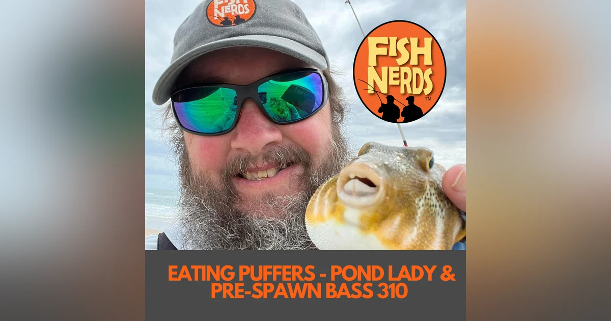EATING PUFFERS - POND LADY & PRE-SPAWN BASS 310