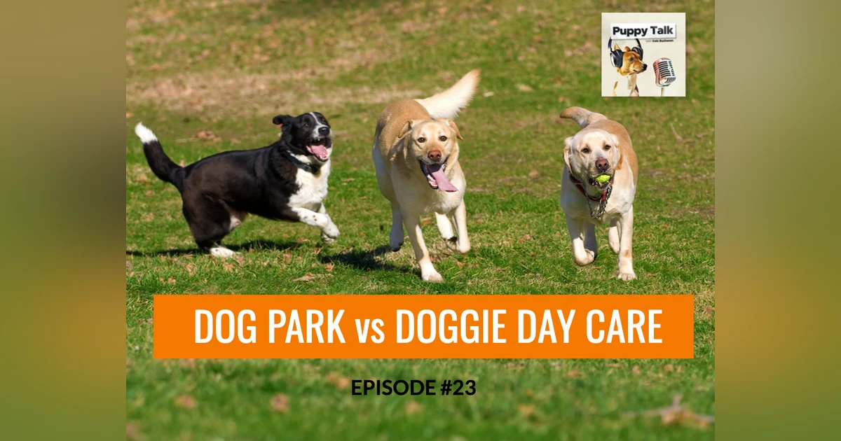 Dog Parks vs Doggie Day Care
