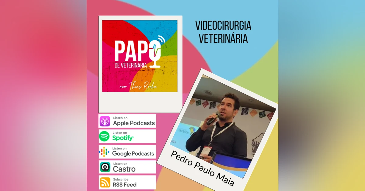 Videocirurgia Veterinária, com Pedro Paulo Maia Teixeira