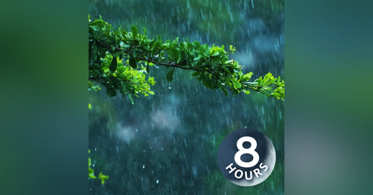Jungle Rain Sounds for Sleep I White Noise Raining 8 Hours