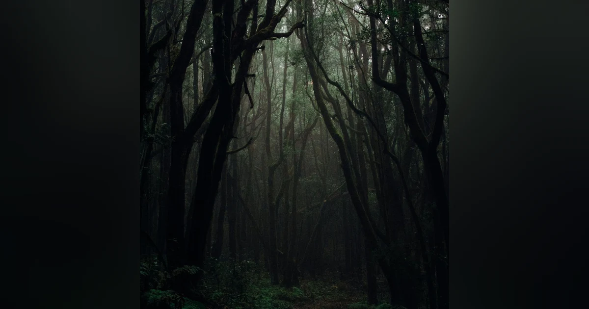 A Trip To Suicide Forest