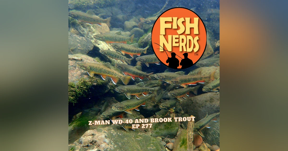 Z-Man WD-40, Brook & Brackish Flies  Trout EP 277