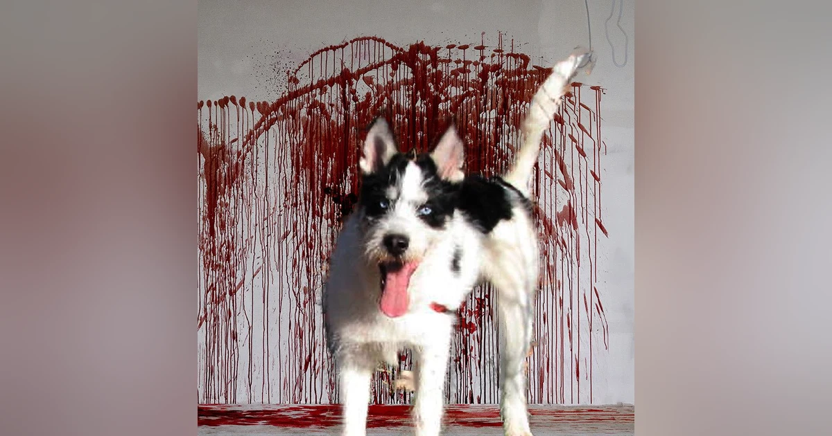 Ep.75 – My Dog, Doug - What Lurks Behind That Cute Face?