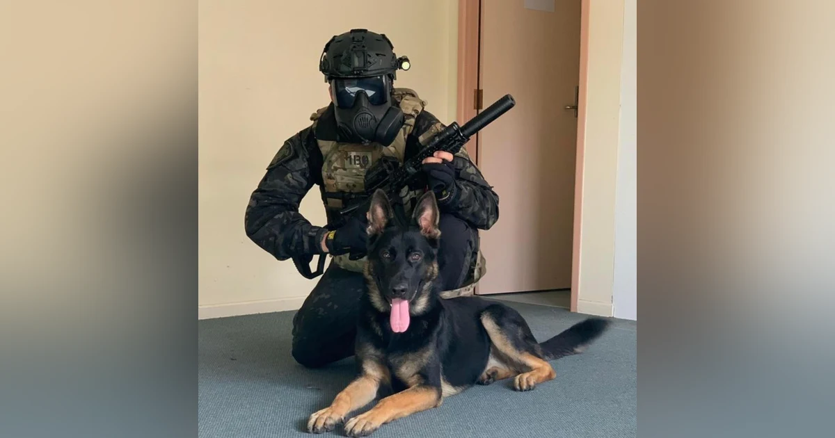 Steve Ditmars K9 Police Story