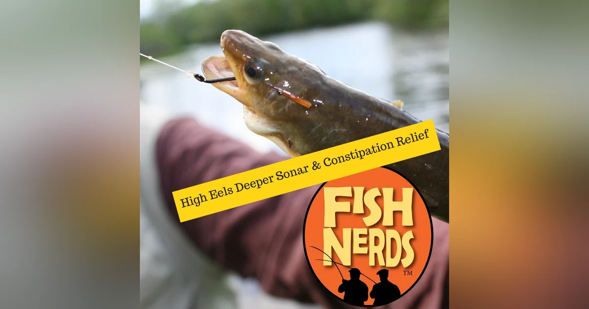 High Eels Deeper Sonar and Constipation Relief