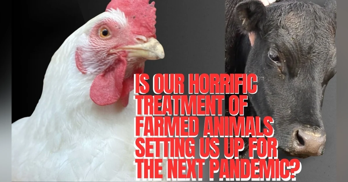 UnchainedTV: Could Bird Flu Be the Next Pandemic?