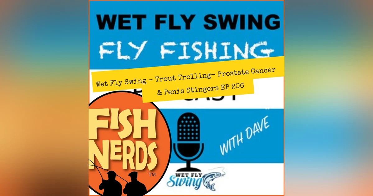 Wet Fly Swing Trout Trolling Prostate Cancer and Penis Stingers
