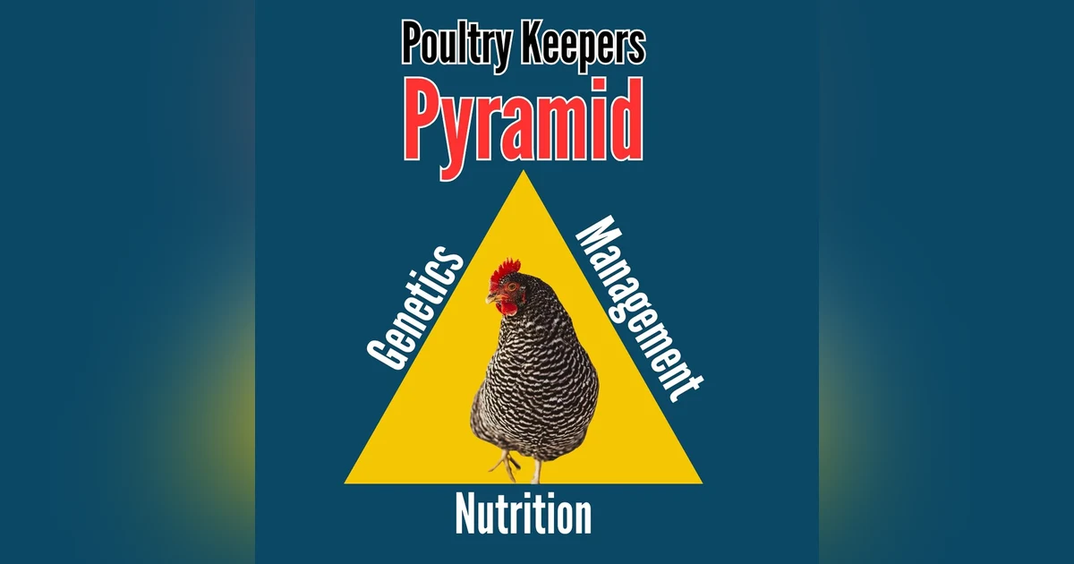 Bonus Content-The Poultry Keepers Pyramid