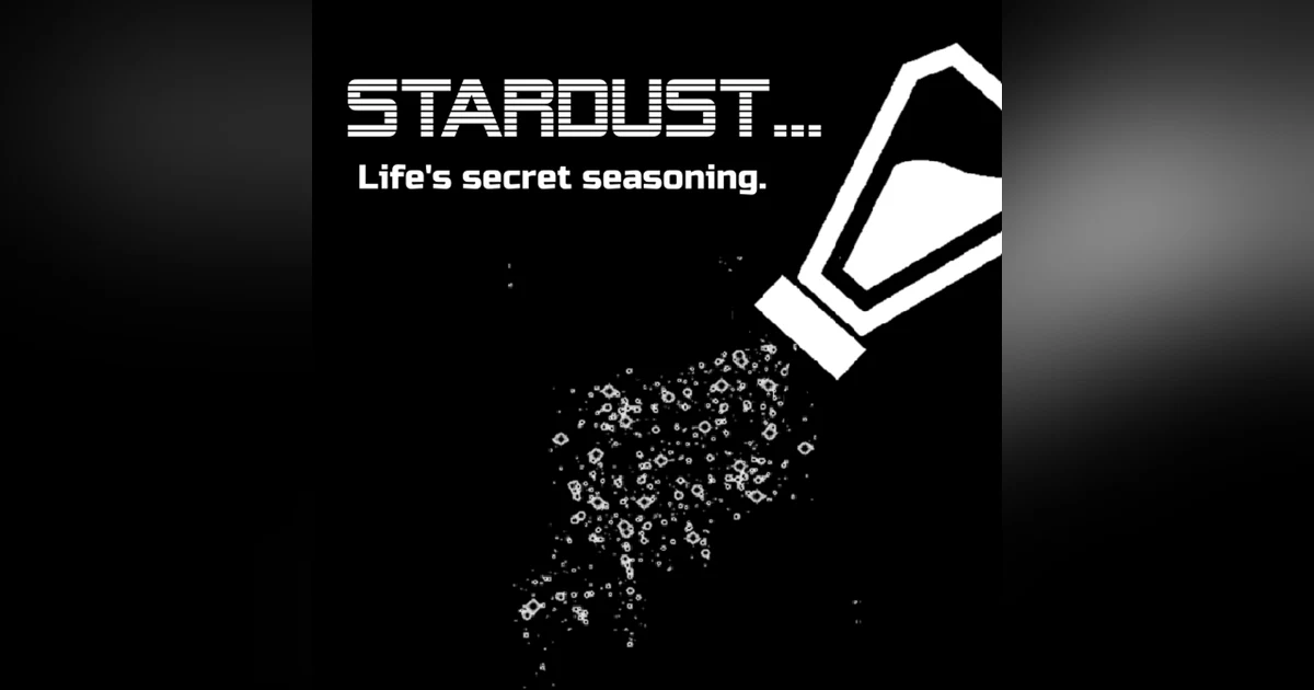 Stardust-Life's Secret Seasoning
