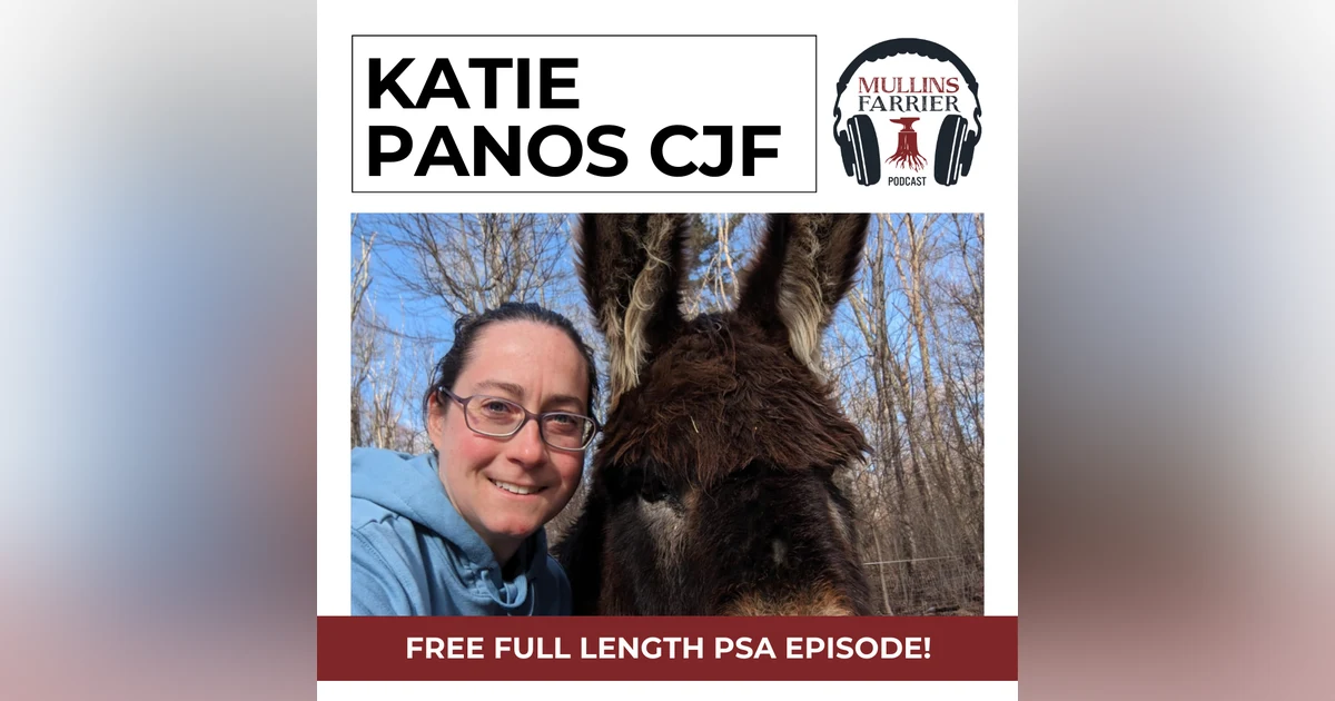 Katie Panos CJF