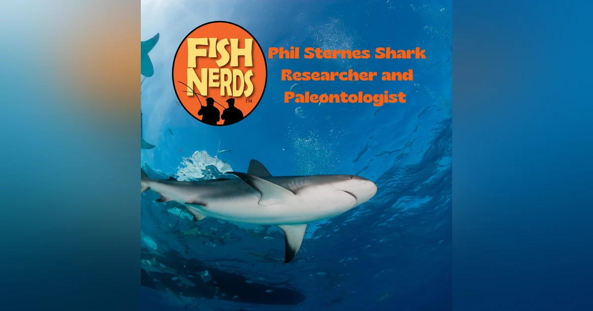 Phil Sternes Shark Paleontologist EP 304