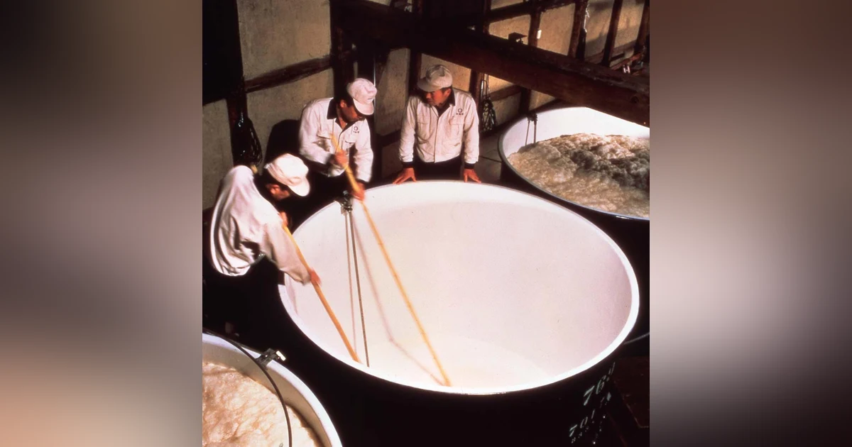 For the Sake of Saké (Part 2) - With Michael Achach