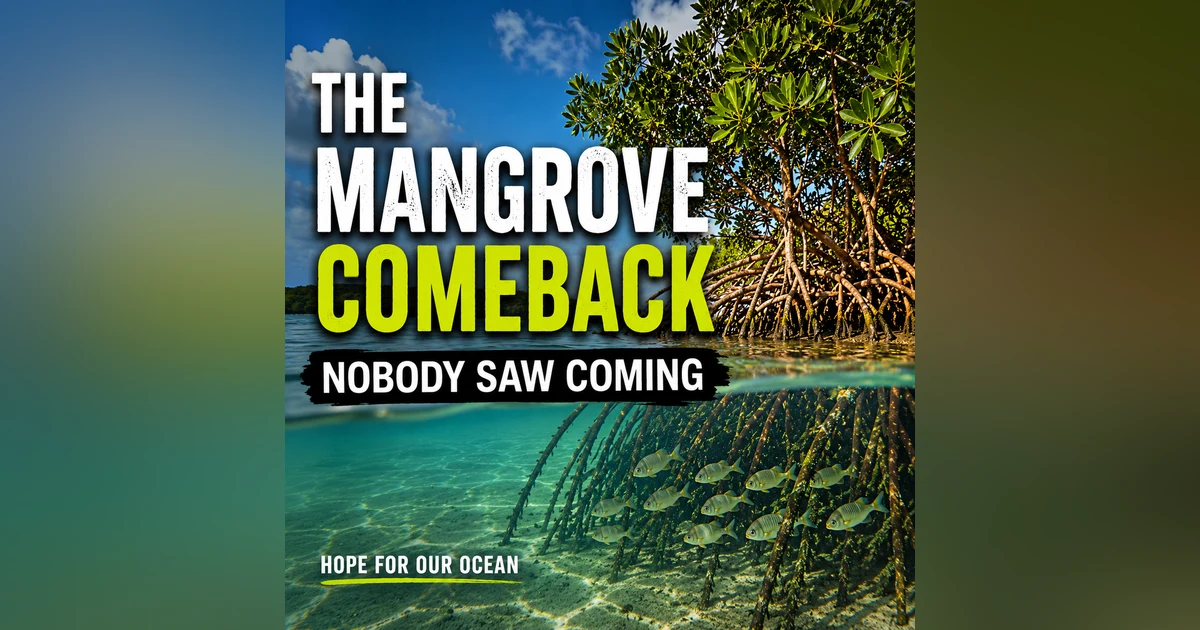 The Return of Mangroves Should Give You Hope