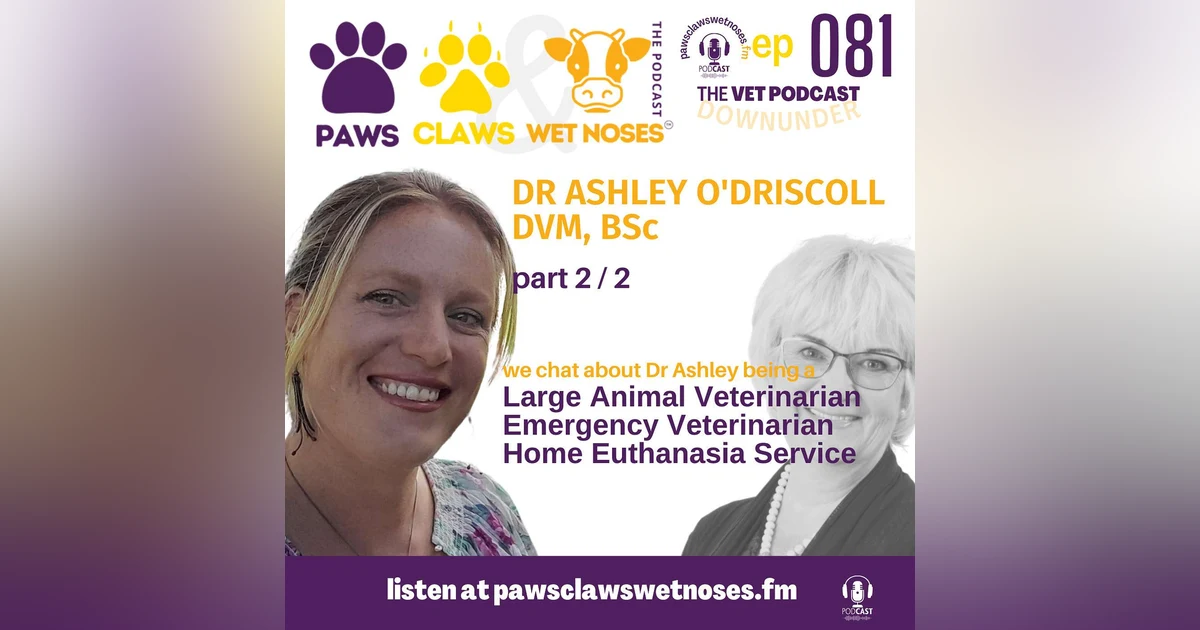 Dr Ashley O'Driscoll - pt2 of 2 - Large Animal Veterinarian + Emergency Veterinarian + Paw Print Home Euthanasia Service
