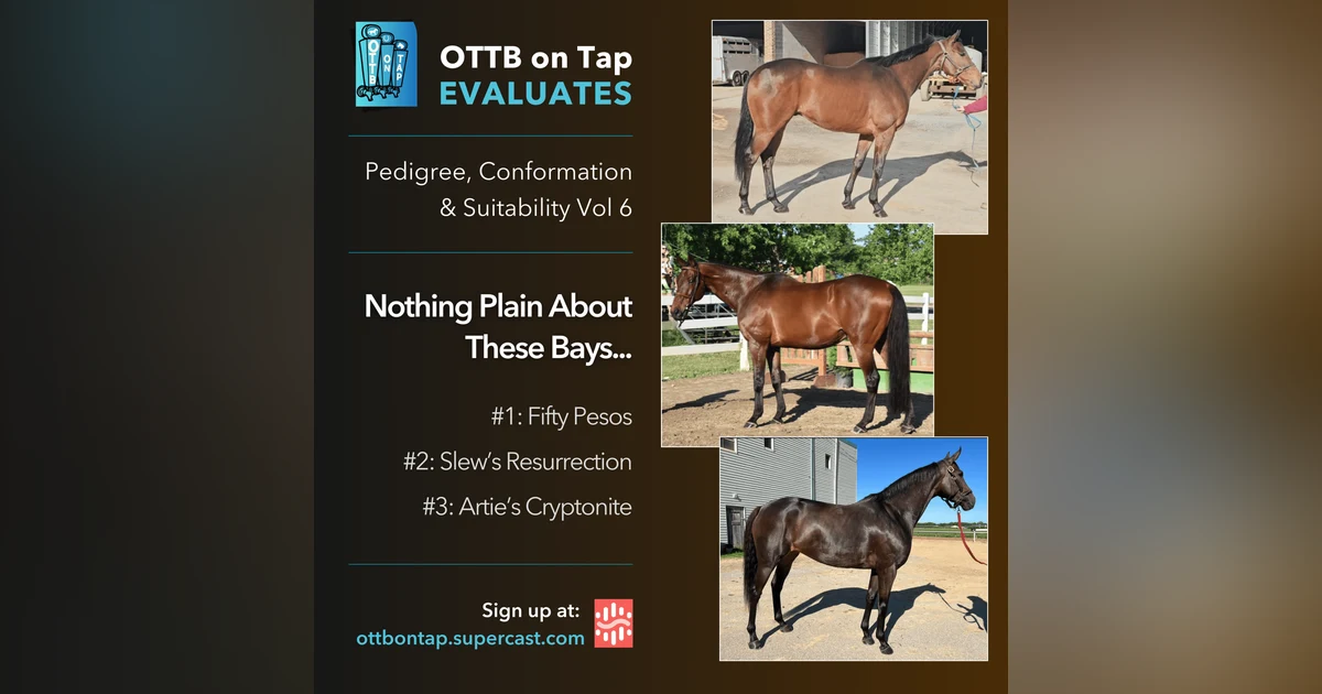 Preview: OTTB on Tap Evaluates Vol 6: Nothing Plain About These Bays!