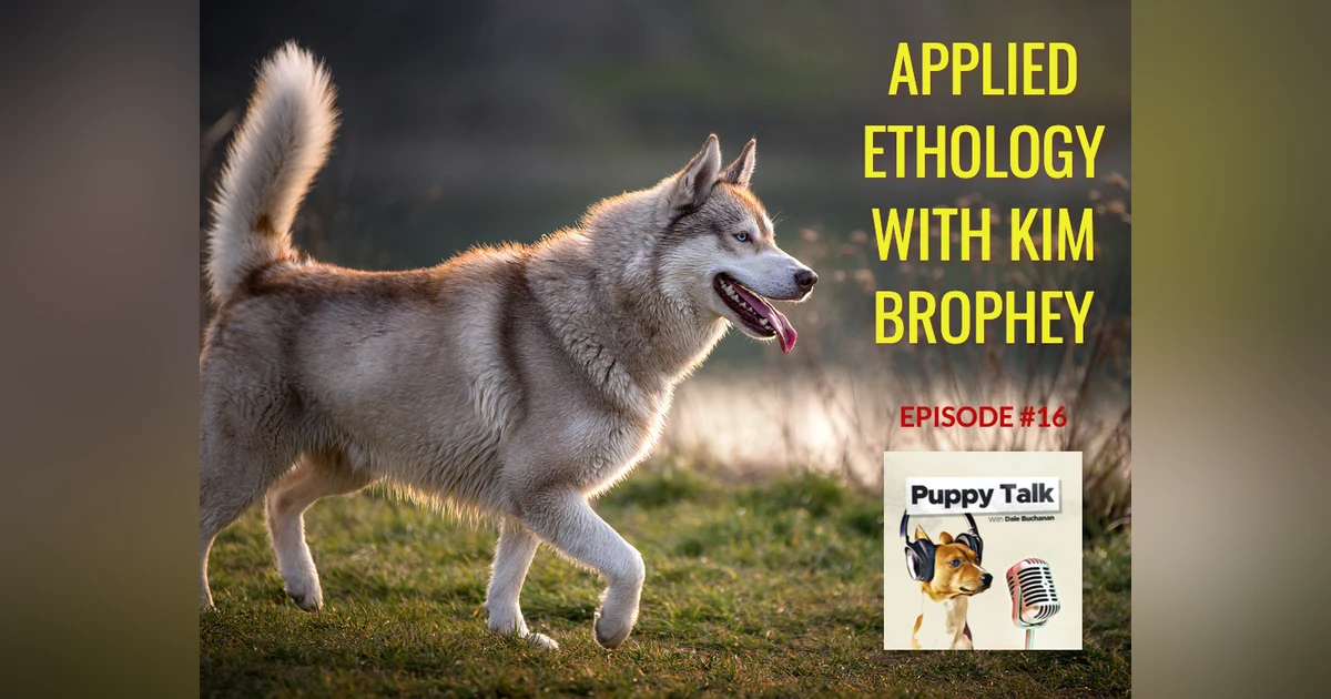 Applied Ethology with Kim Brophey