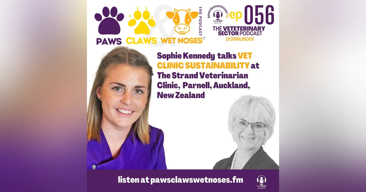 Vet clinic Sustainability - Q&A with Sophie Kennedy of The Strand Veterinarian - ep 056