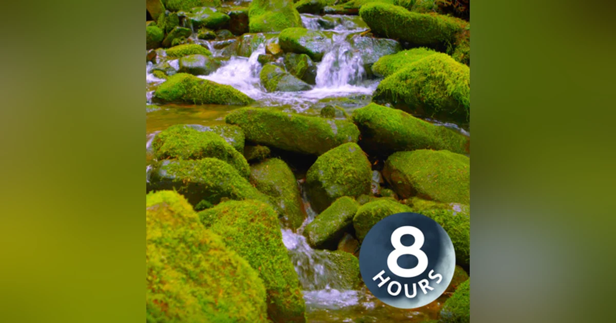 Mountain Stream Water Sounds White Noise for Sleep, Focus or Studying (8 Hours)