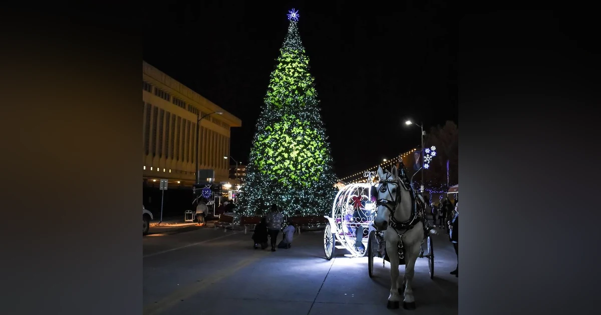 You don’t need snow to have a winter wonderland!