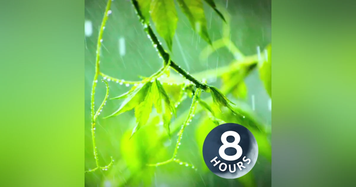 Rain Sounds for Sleep, Relaxation or Focus 8 hours