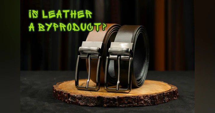 image for Is leather a byproduct?