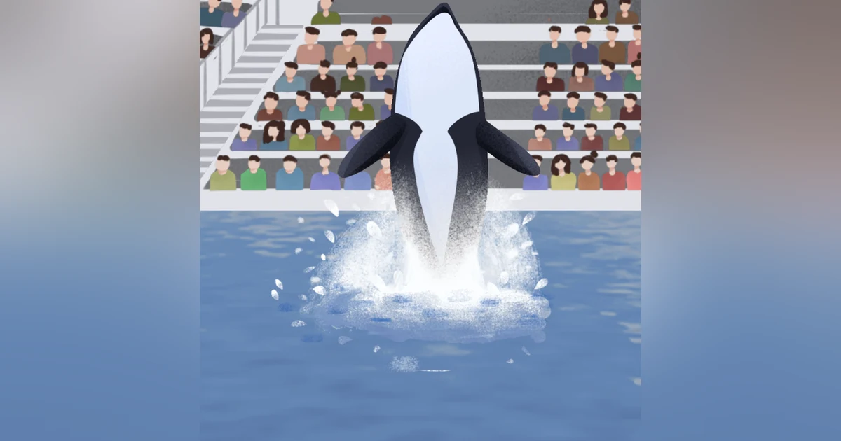 Beneath the Surface:  Killer Whales, SeaWorld, and the Truth Beyond Blackfish, by John Hargrove and Howard Chua-Eoan