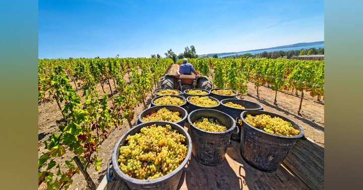 image for Liquor Industry News 10-12-26