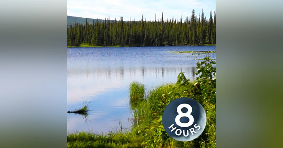 Lake Water Sounds with Birds & Breeze 8 Hours | Nature Ambience for Relaxation, Studying or Sleeping