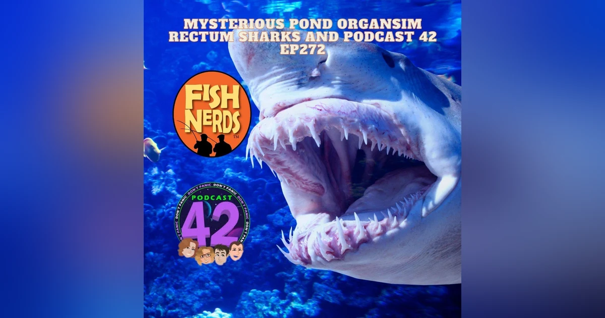 Mysterious Pond Organsim Rectum Sharks and Podcast 42 EP272