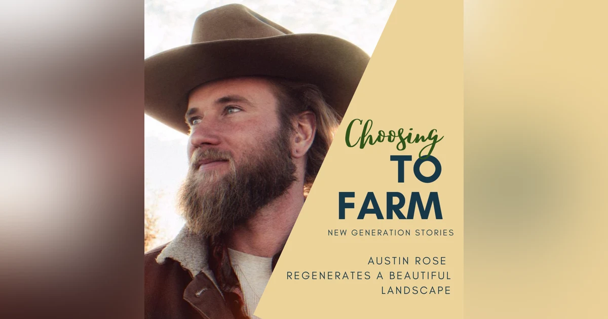 Austin Rose Regenerates a Beautiful Landscape