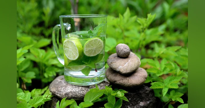 image for Harnessing the Healing Power of Plant Medicine: A Journey into Nature's Pharmacy