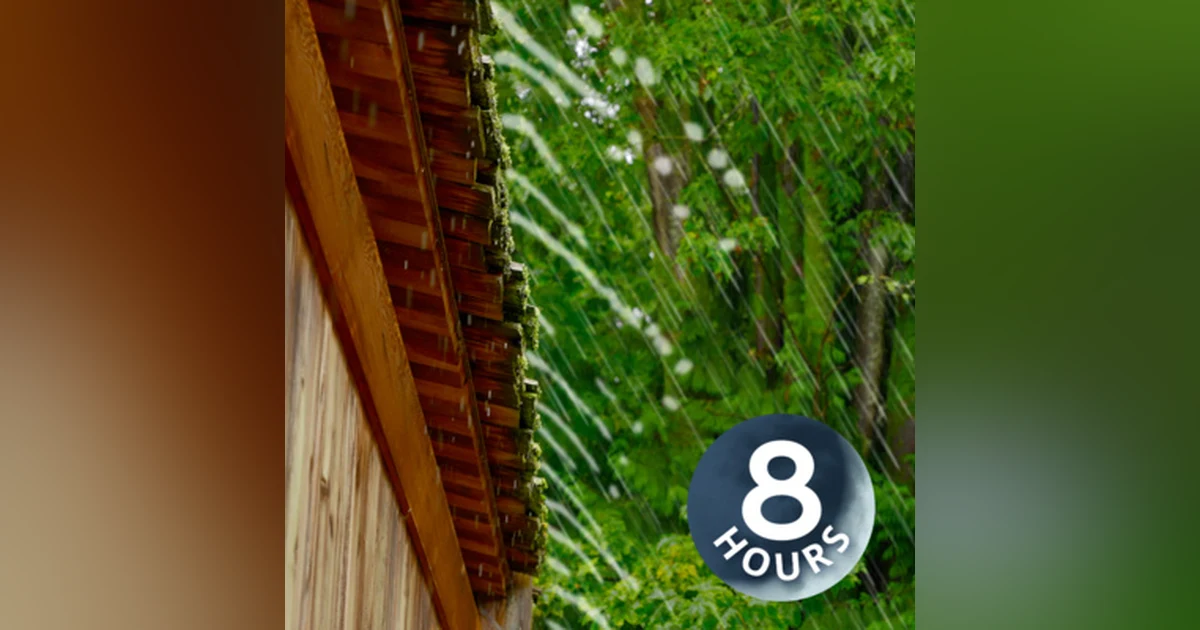 Sound of Rain for Sleep & Relaxation I Rainstorm White Noise 8 Hours