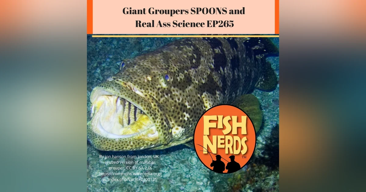 Giant Groupers SPOONS and Real Ass Science EP265