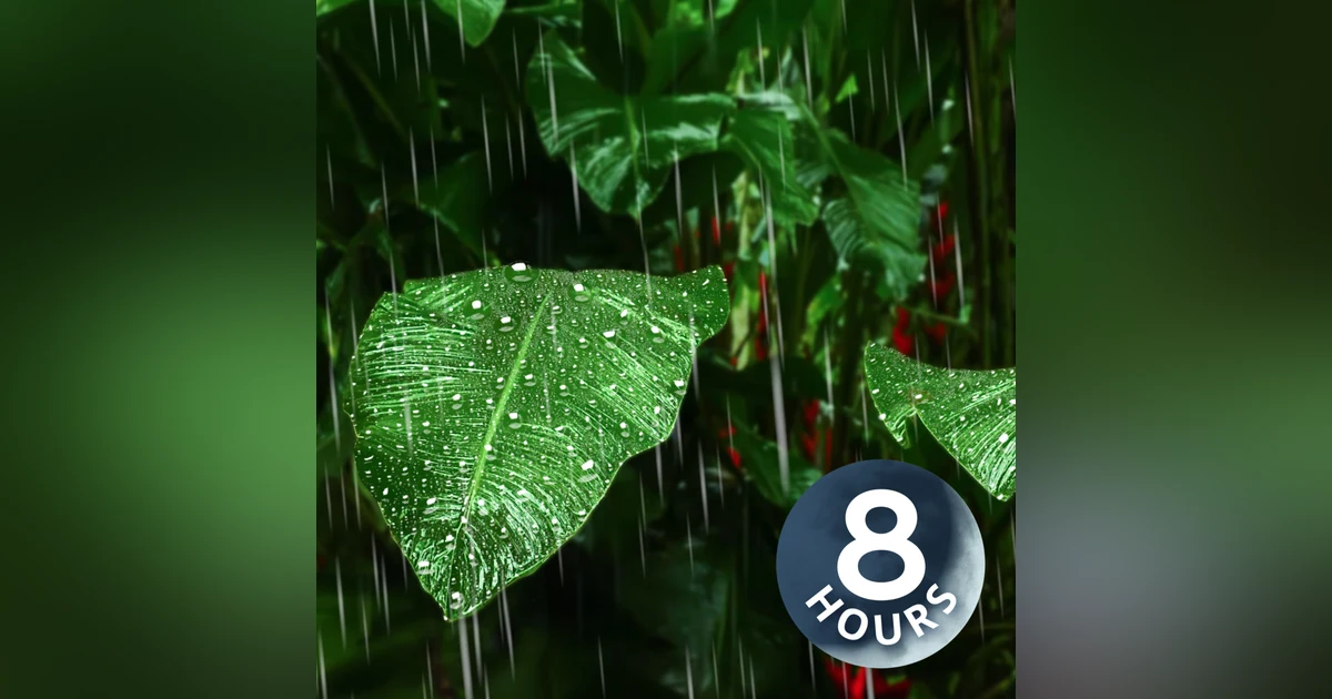 Rain on Giant Tropical Leaves | Raining Sound to Sleep 8 Hours