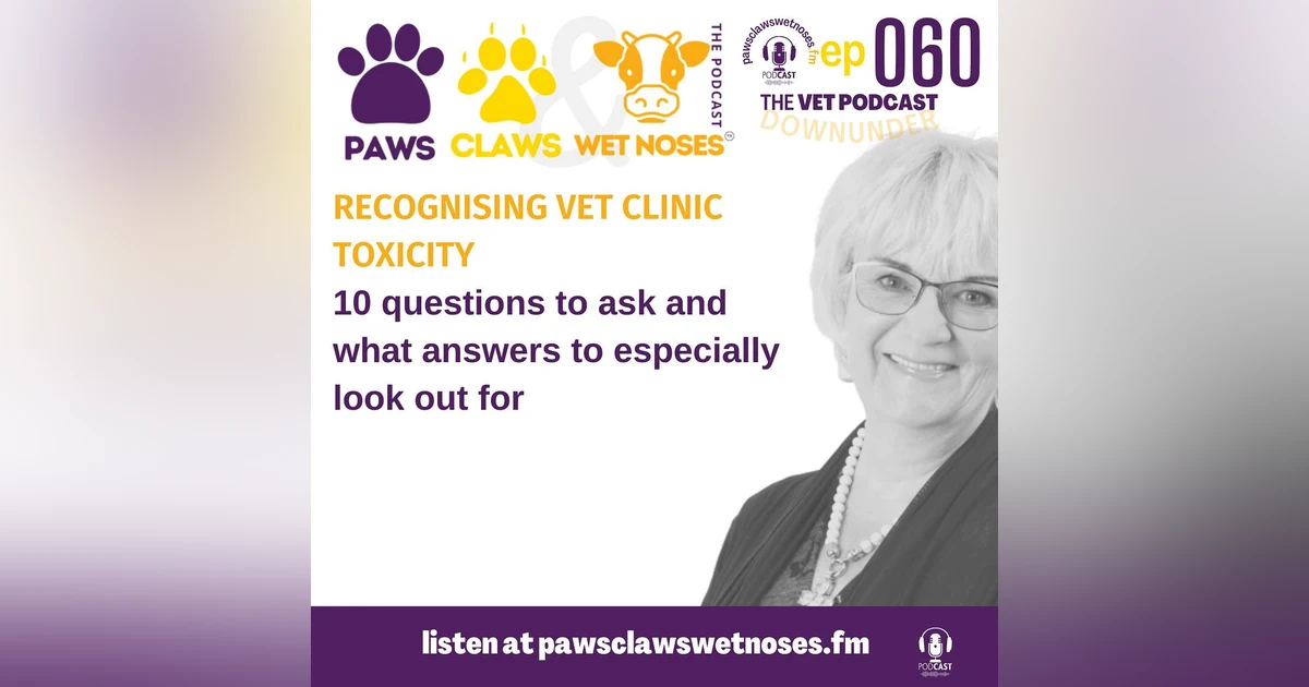 Vet clinic toxicity - 10 warning signs and how to recognise vet clinic toxicity at the job interview