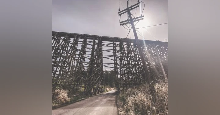 image for Paranormal Investigations in the PNW