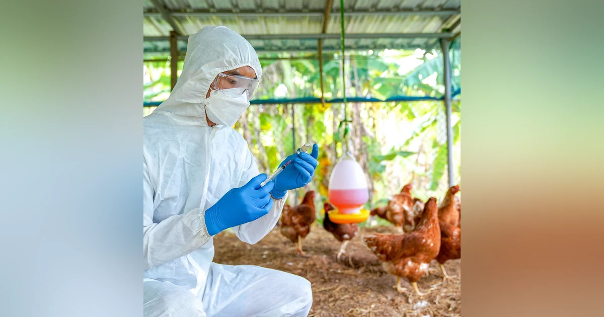 Interwoven Threads of Avian Influenza and One Health with Dr. Greg Gray