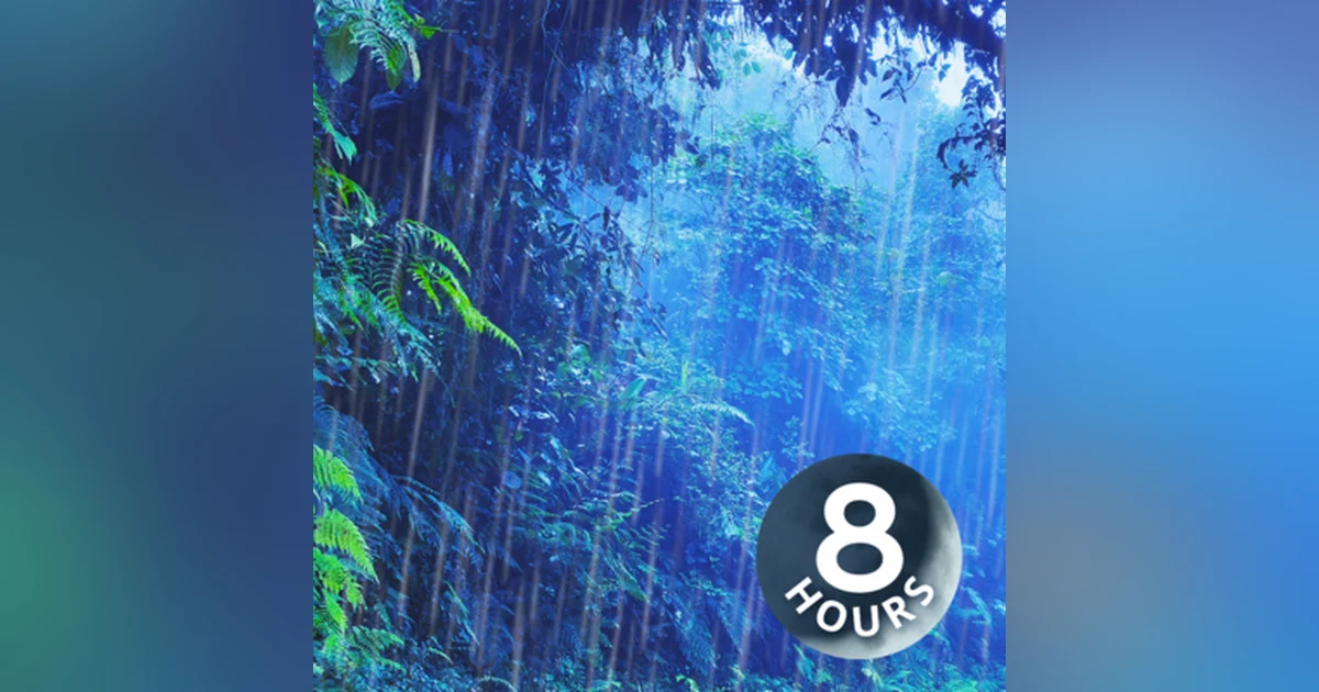 Enchanted Rainforest | 8 Hours Rain White Noise and Nature Sounds