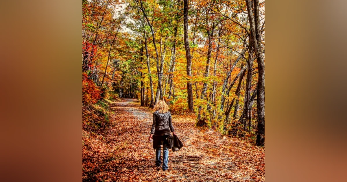 #50: The Best National Parks to Visit in Each Season