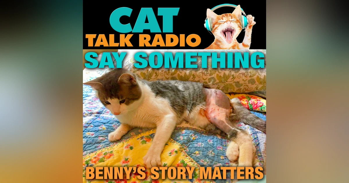 Cat Abuse and Survival: Benny's Story and the Importance of Speaking Up