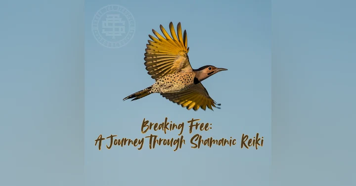 image for Breaking Free: A Journey Through Shamanic Reiki 251