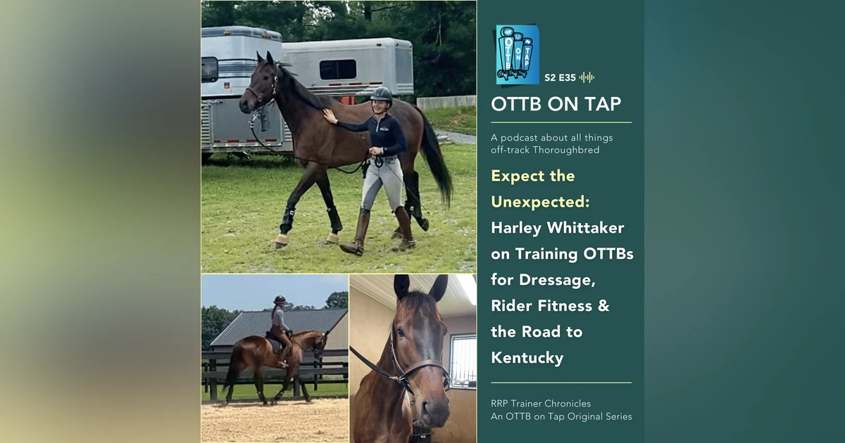 S2 E35: Expect the Unexpected: Harley Whittaker on Training OTTBs for Dressage,  Rider Fitness & the Road to Kentucky | RRP Trainer Chronicles