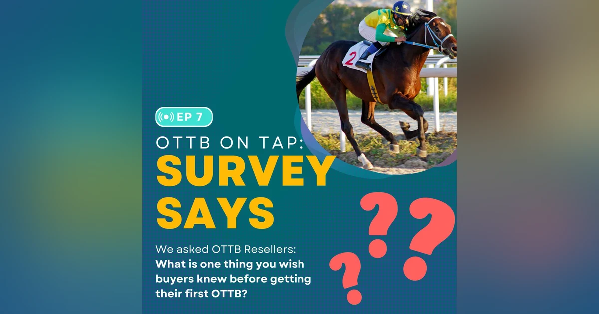 Ep.7 -- What Resellers Wish You Knew About OTTBs