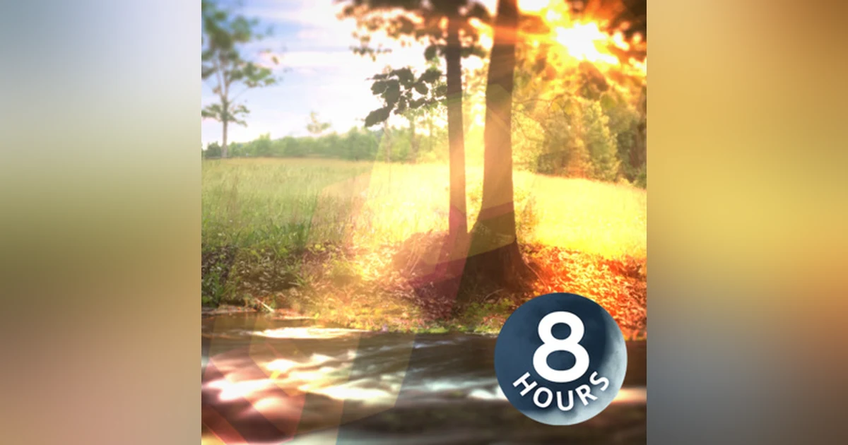 Birds & Stream in South Carolina 8 Hours | Nature Sounds to Help You Relax, Focus or Sleep
