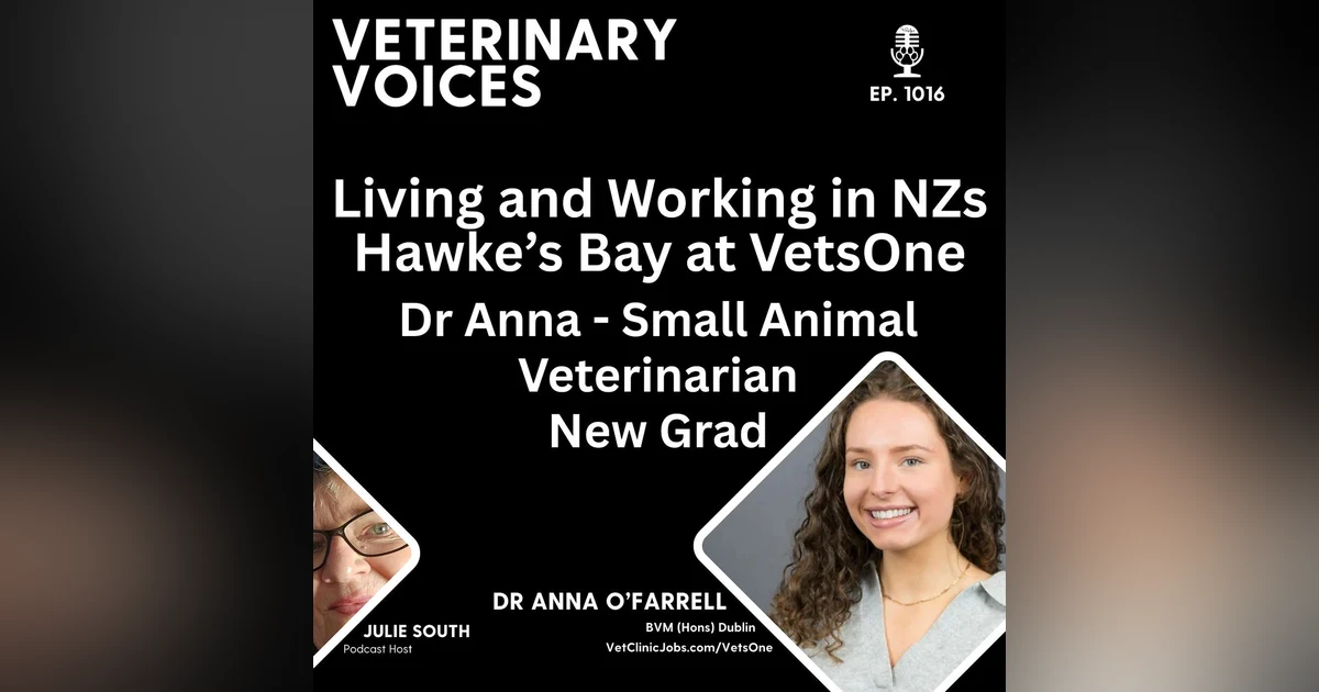 Vet Clinic Employer of Choice:  VetsOne - Hawke's Bay NZ - Dr Anna - Veterinarian New Grad - ep. 1016