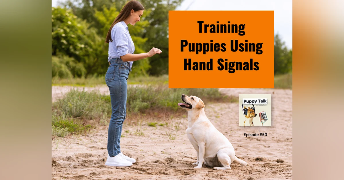 Training Puppies Using Hand Signals