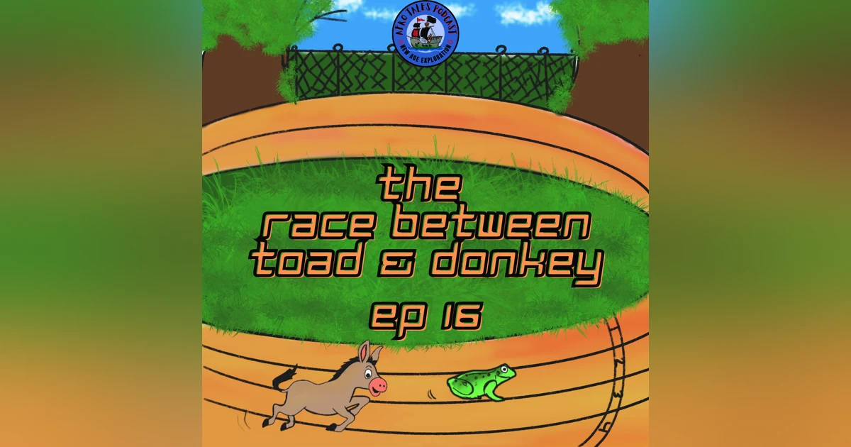 The Race Between Toad & Donkey