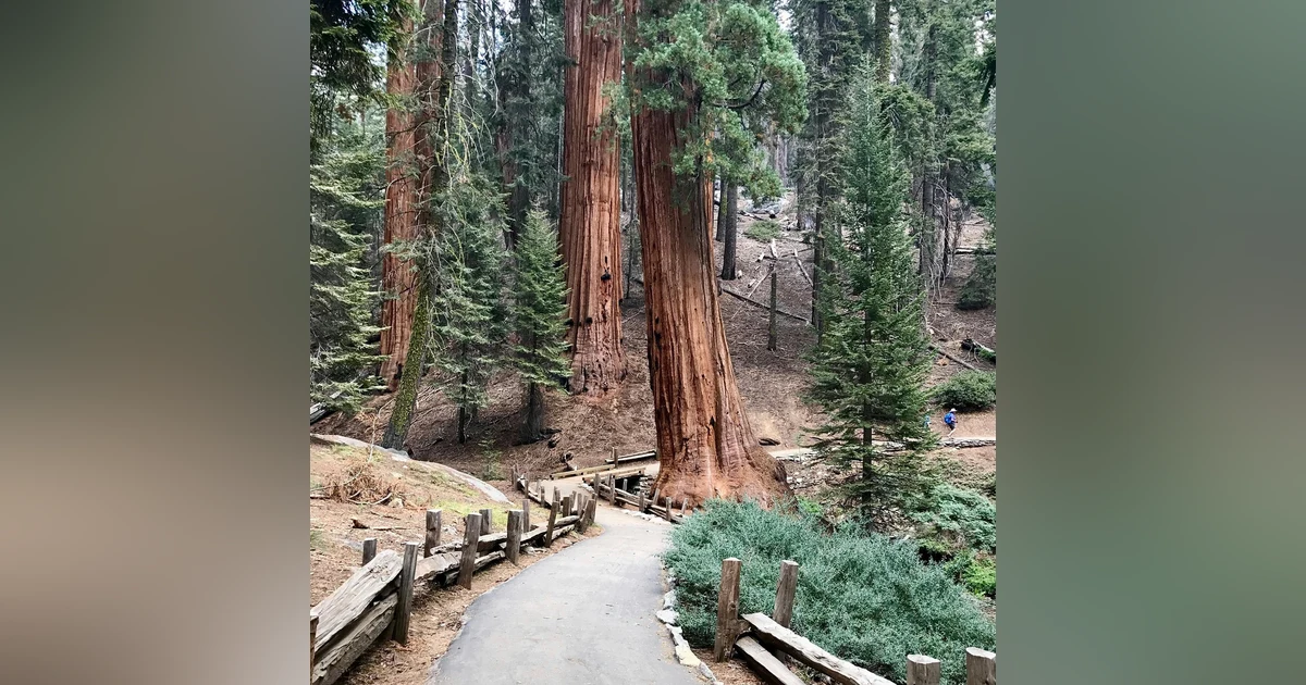 #130: Easy Bucket-List National Park Hikes