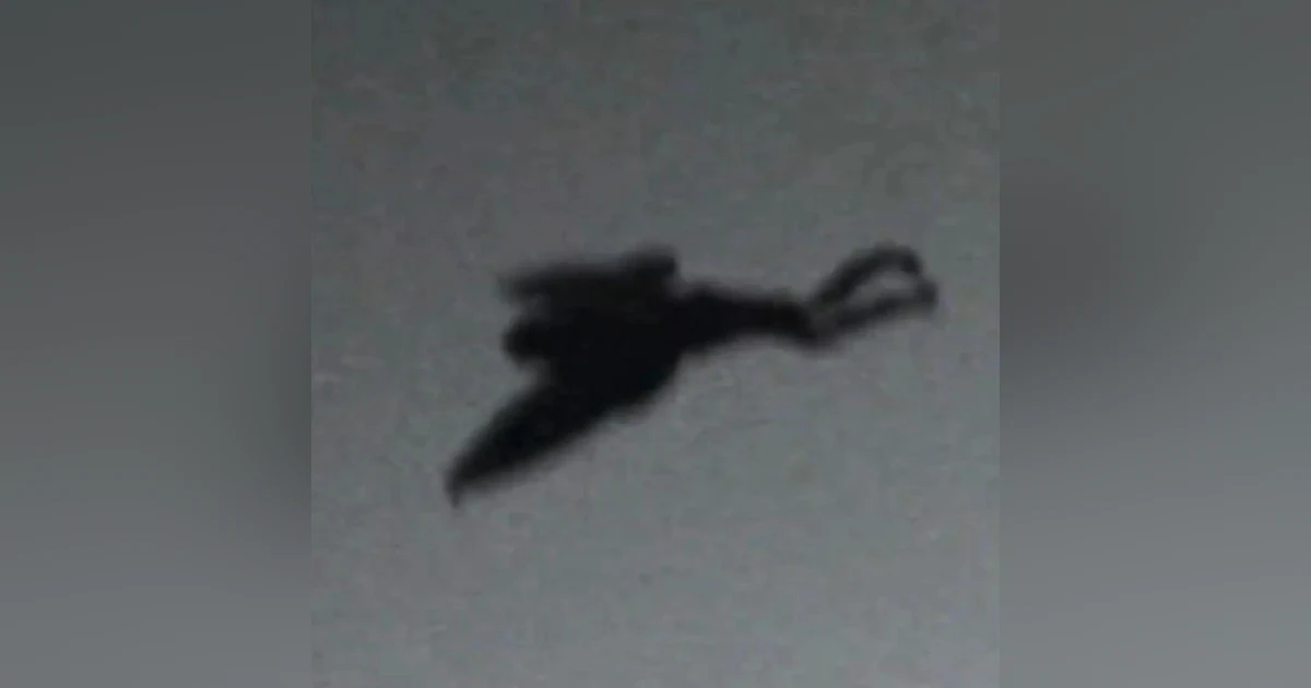 S9: Chicago Mothman - Weekend Replay